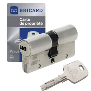 Changement de cylindre Bricard haute sécurité